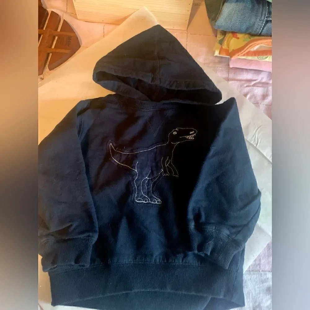 Sweatshirt Hoodie